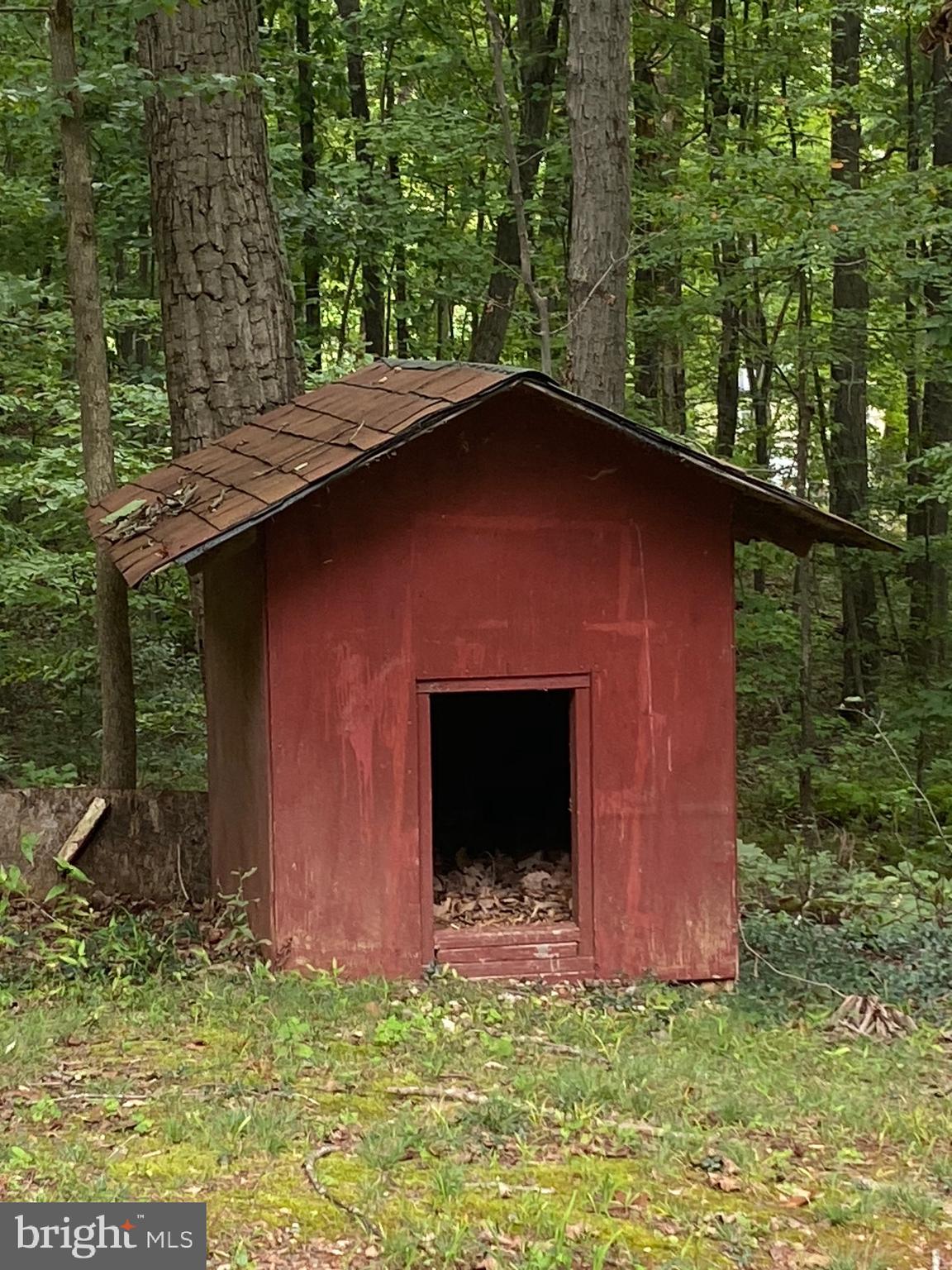 41 Comptons Road Castleton, VA 22716 - Photo 27 of 35 Cozy house for your pet companion!