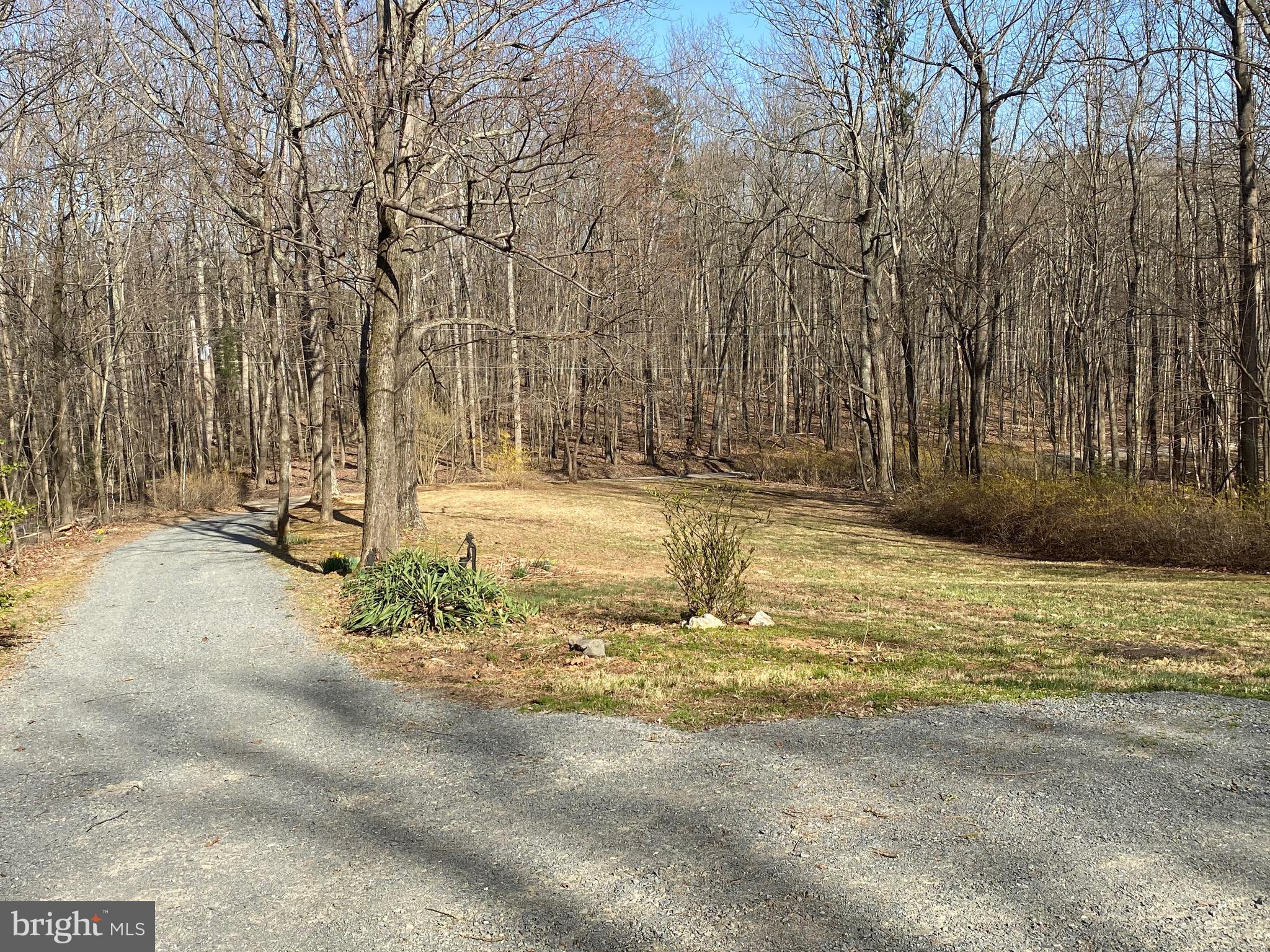 41 Comptons Road Castleton, VA 22716 - Photo 29 of 35 View from house down driveway.