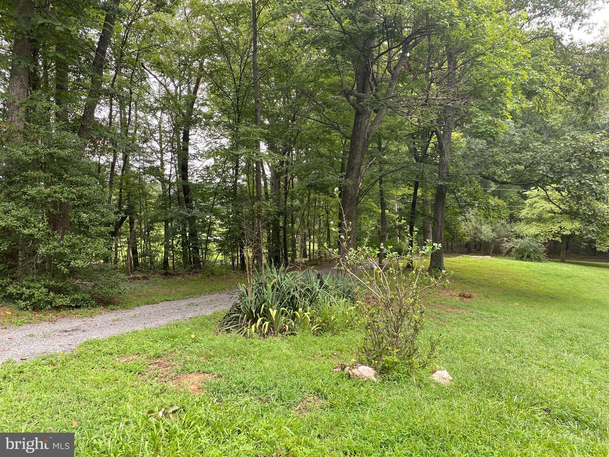 41 Comptons Road Castleton, VA 22716 - Photo 30 of 35 Driveway in great shape/recently graveled.