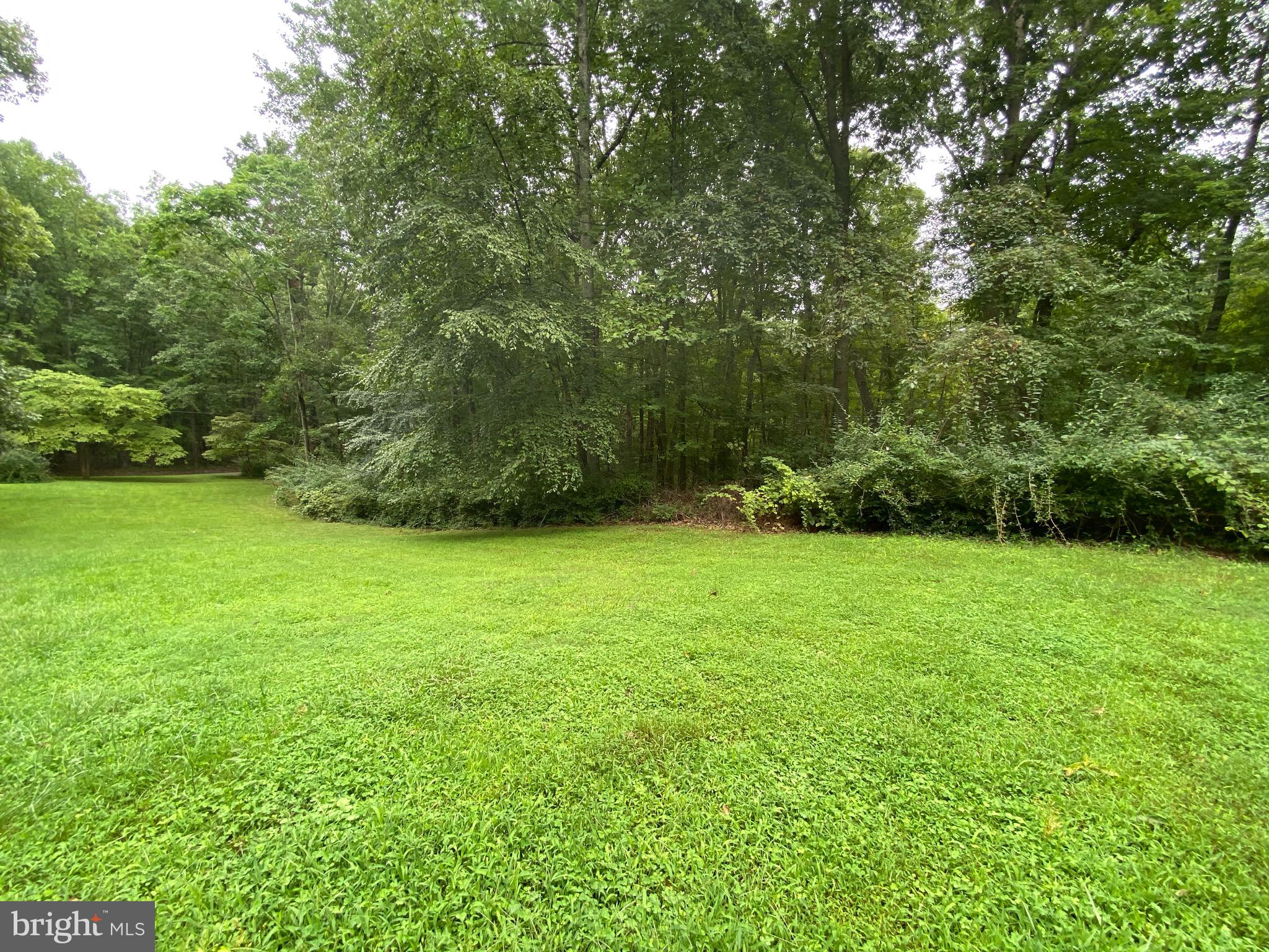 41 Comptons Road Castleton, VA 22716 - Photo 31 of 35 View of side yard from road.