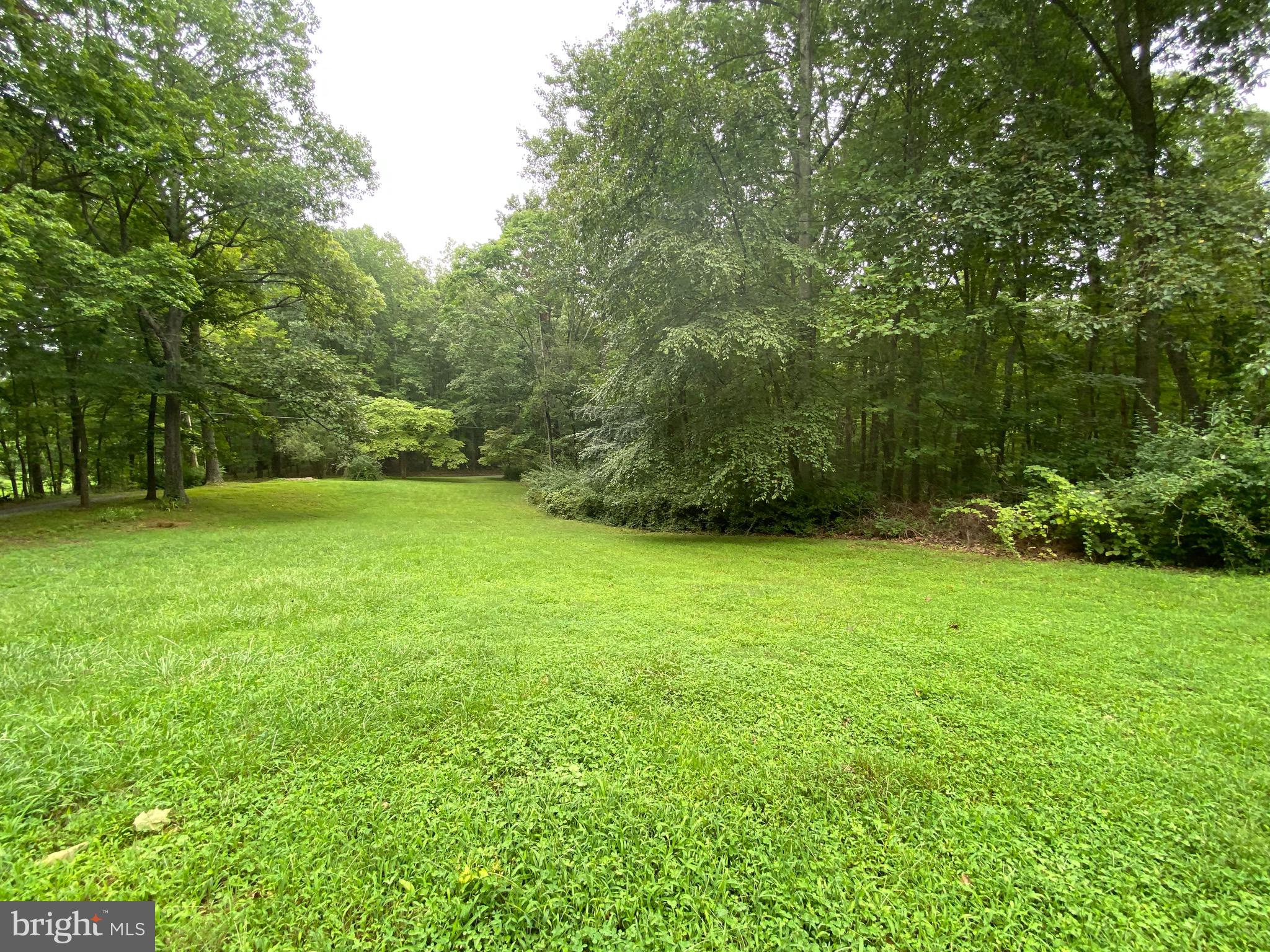 41 Comptons Road Castleton, VA 22716 - Photo 33 of 35 Level area for gardening and playing.