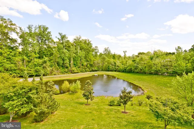 a view of a park with plants and trees