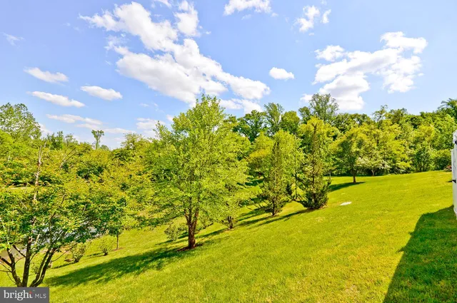 a view of outdoor space with garden and trees