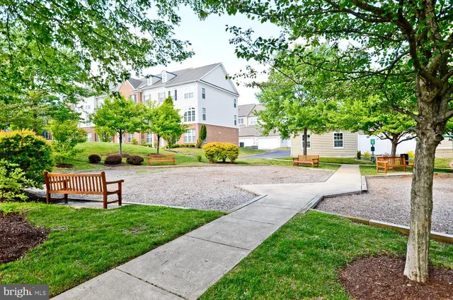 a park view with a entertaining space and large trees