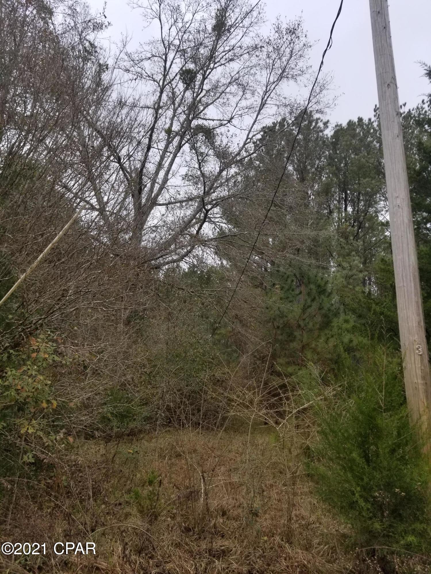2981 Beall Packing Road Bonifay, FL 32425 - Photo 7 of 38 Gallery Image 7