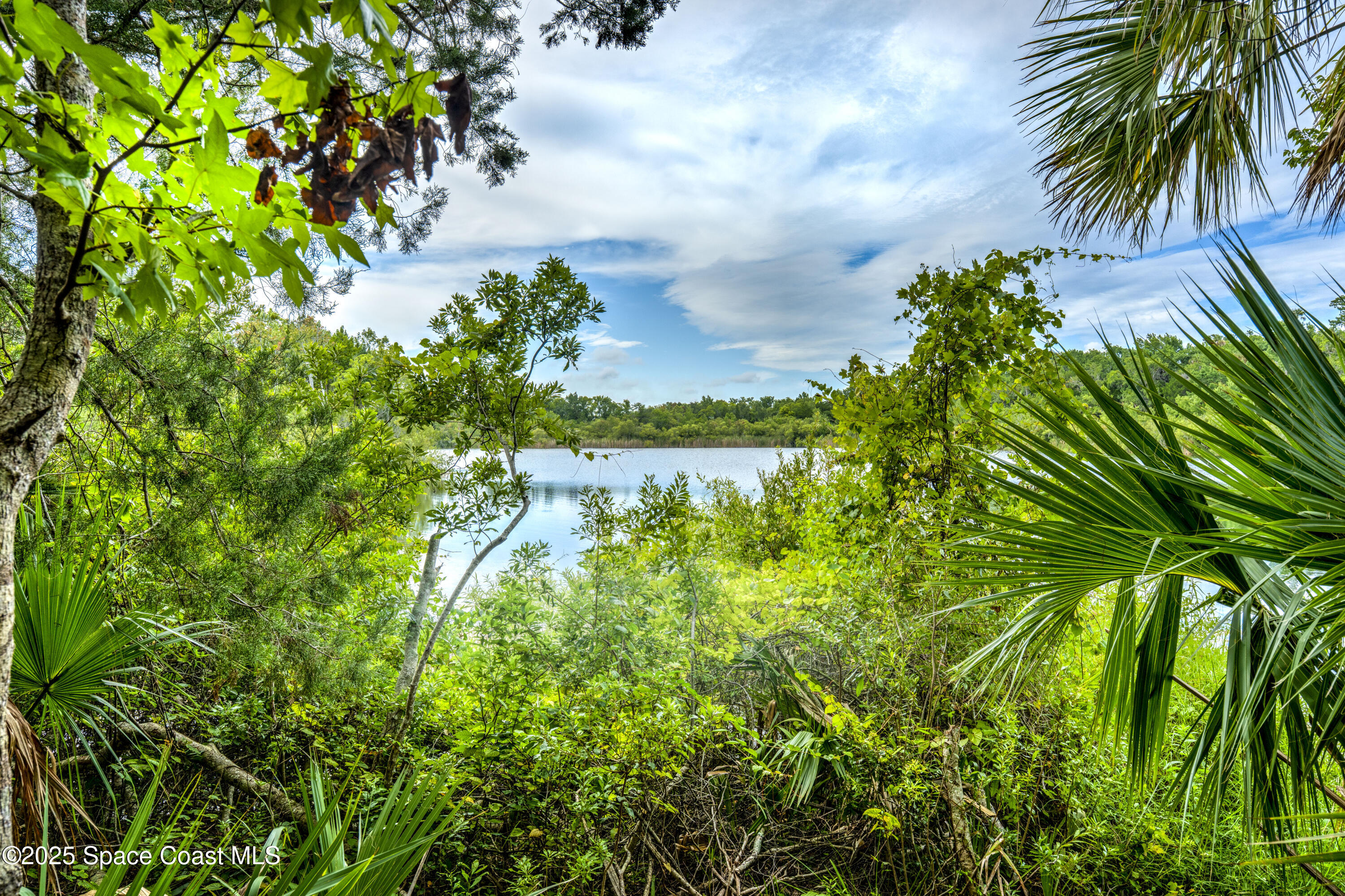 686 Hand Avenue Ormond Beach, FL 32174 - Photo 27 of 29 a view of a garden