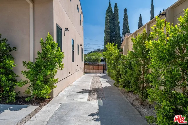 a view of a pathway with potted plants