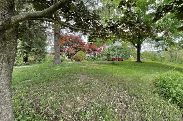a view of a park with large trees