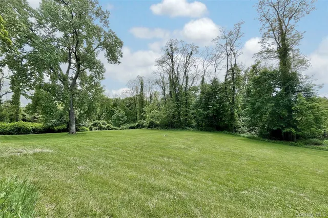 a view of a grassy field with trees in the background