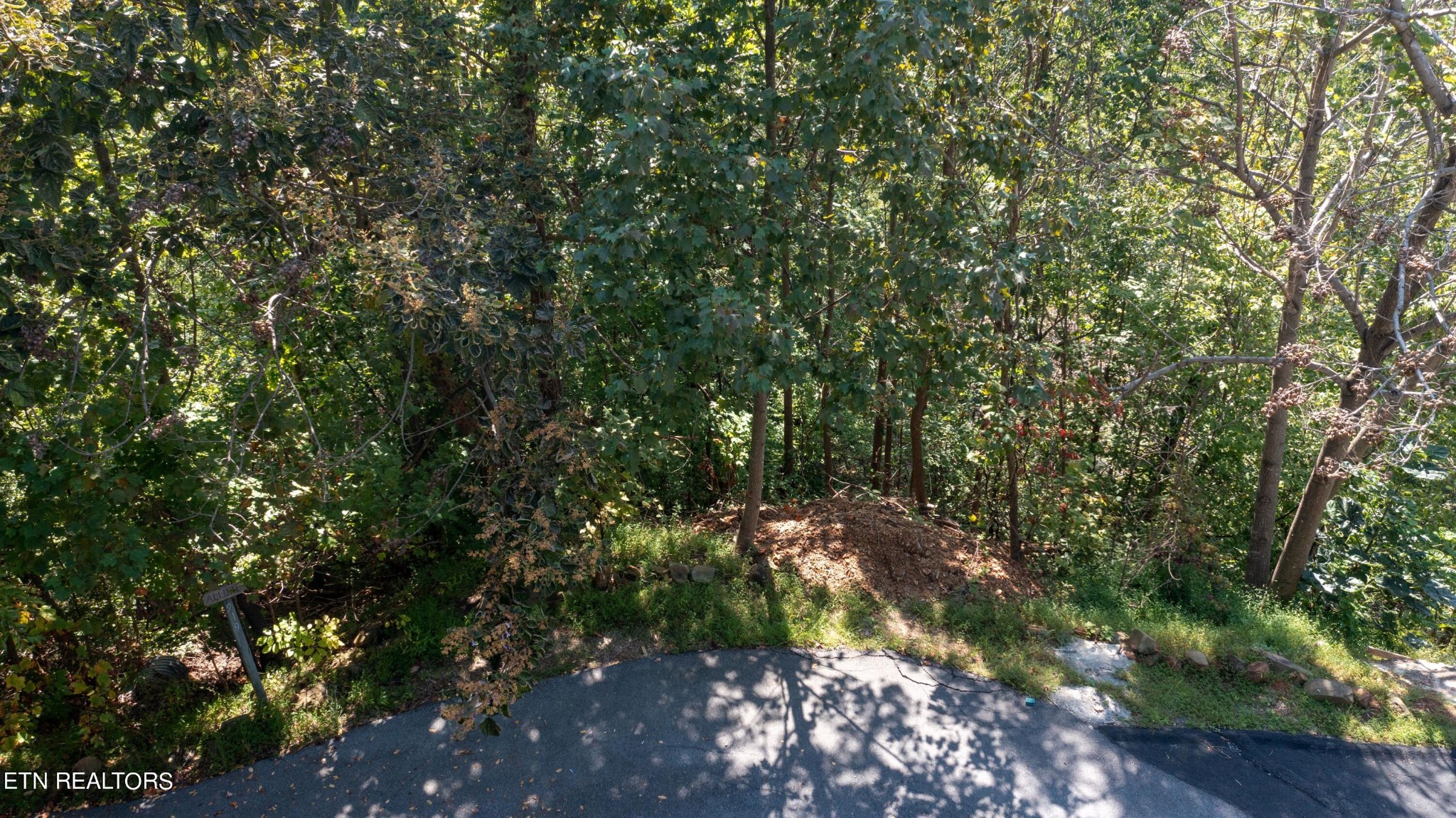 920 Old Field Ridge Way Gatlinburg, TN 37738 - Photo 6 of 6 Gallery Image 6