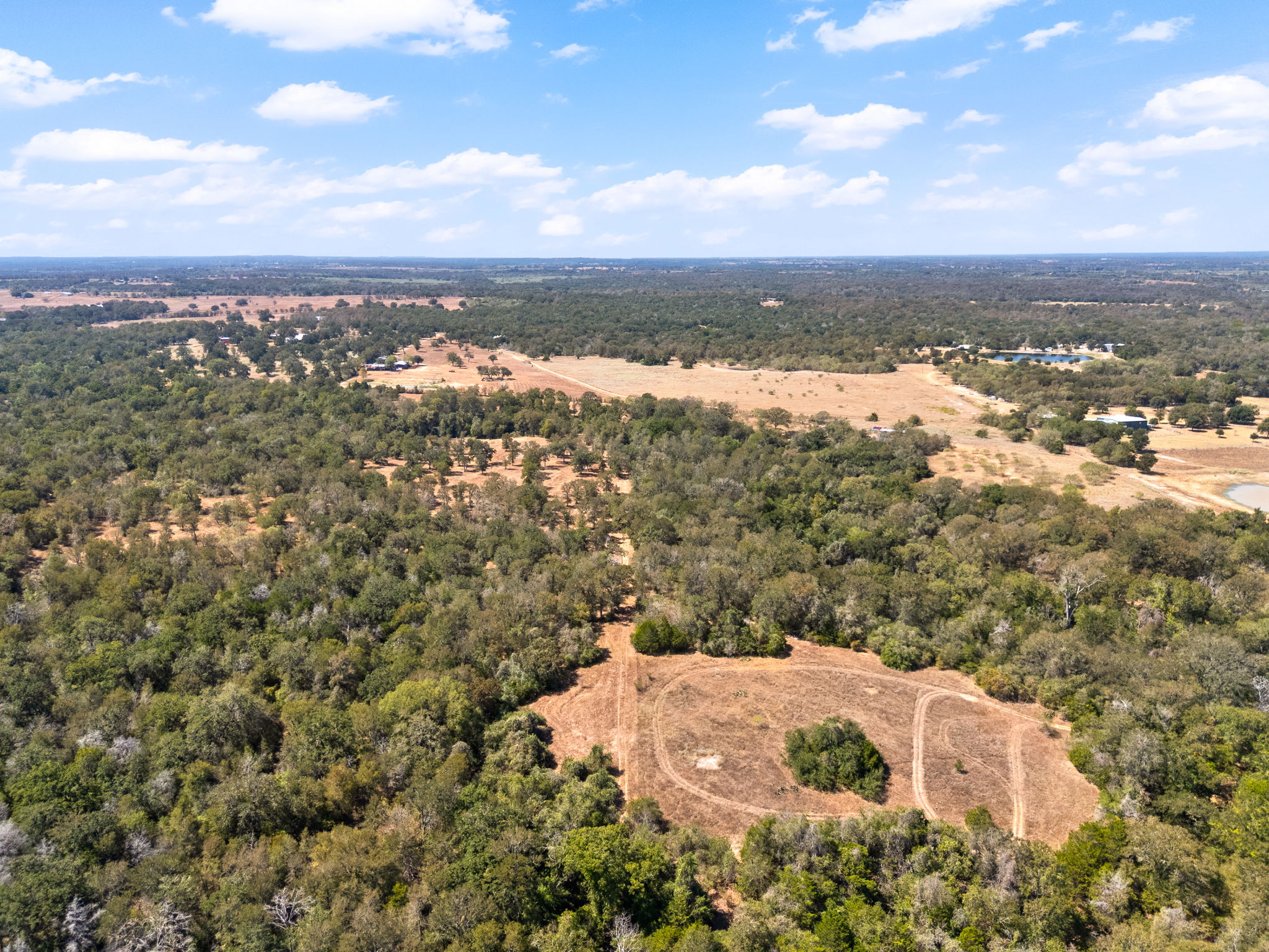 196 Willy Road Bastrop, TX 78602 - Photo 32 of 40 Mature woodlands and cleared open spaces offer endless possibilities under wide blue skies.