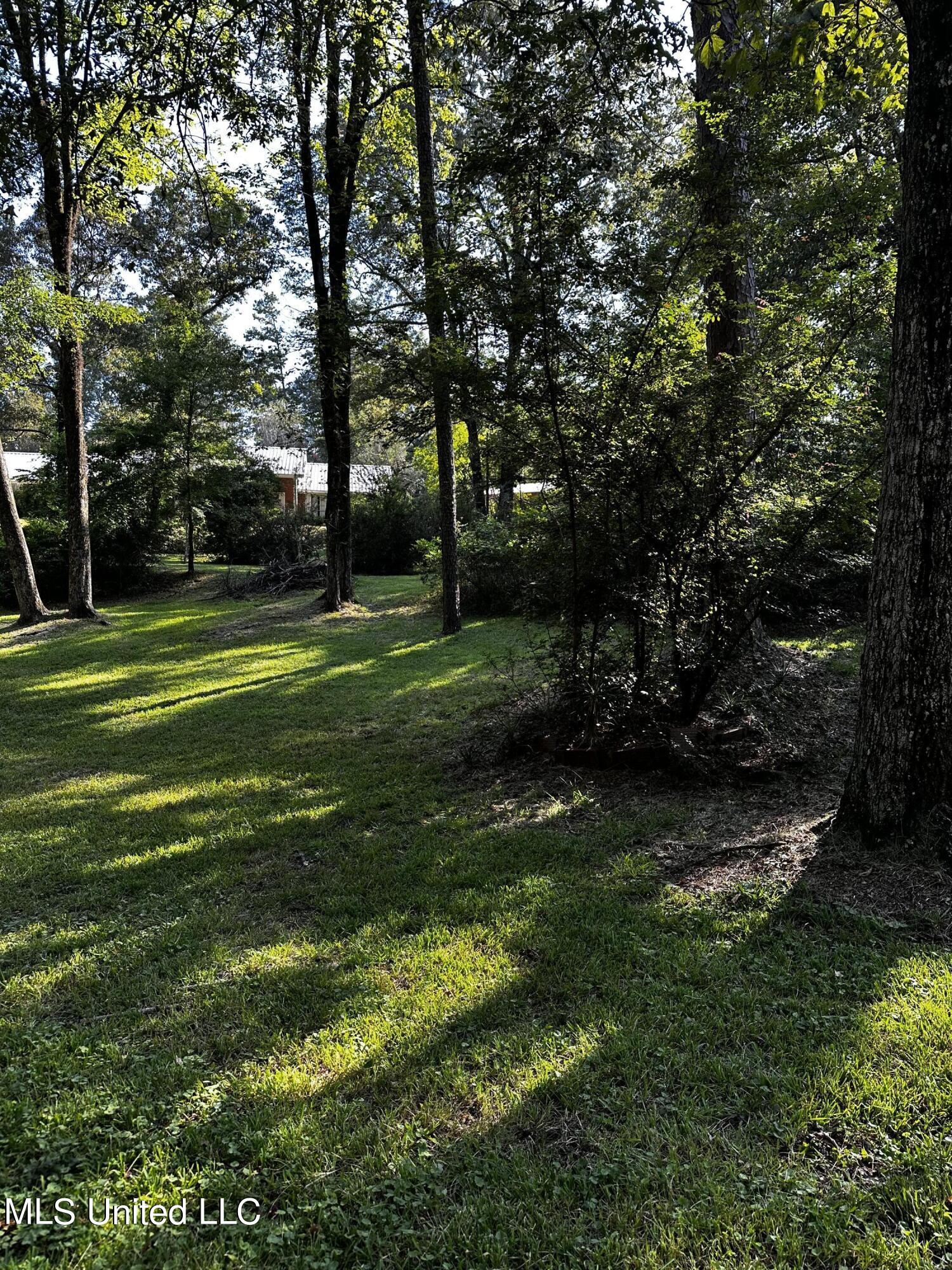 231 Zelma Lane Florence, MS 39073 - Photo 32 of 38 IMG_0681