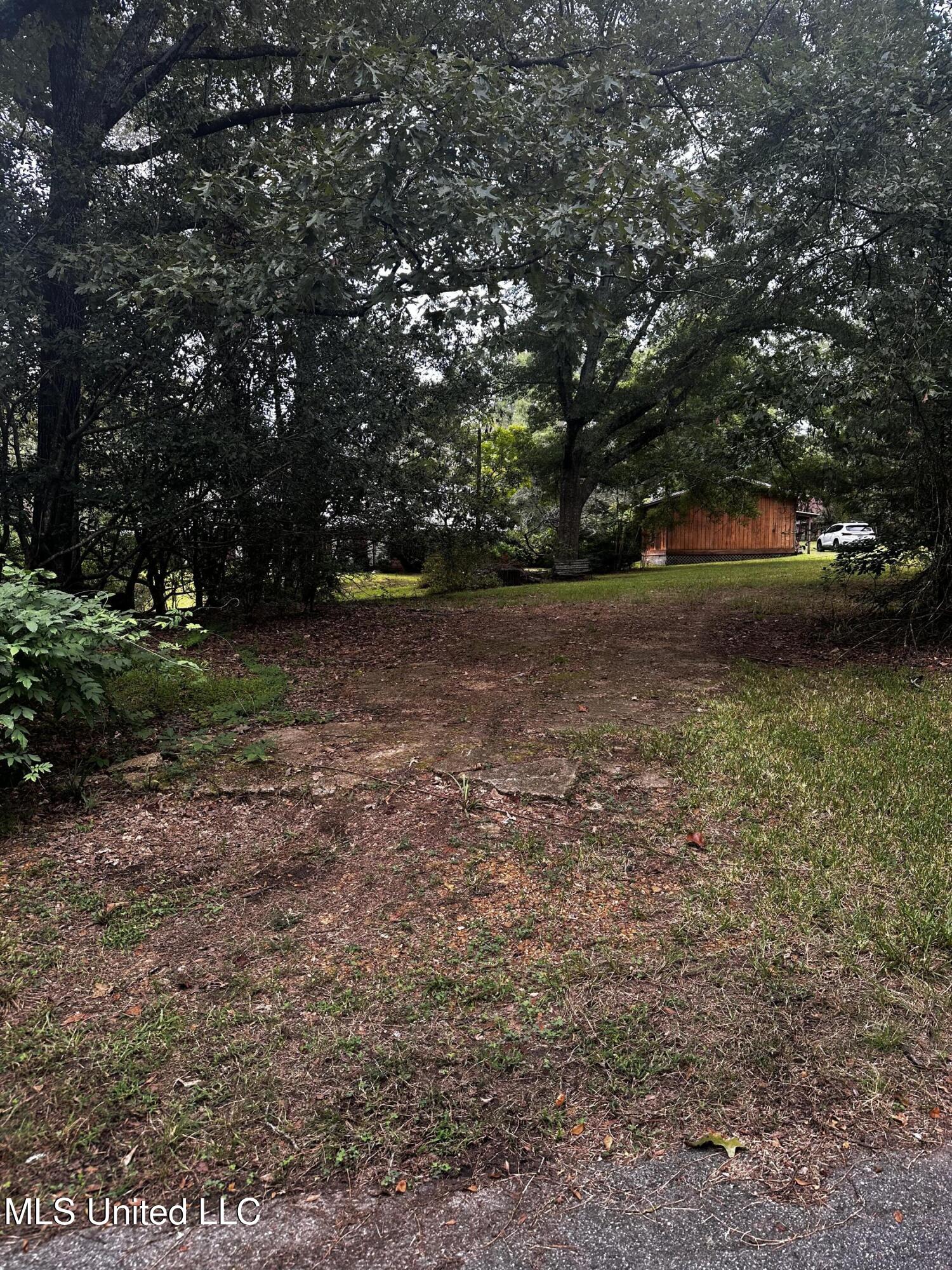 231 Zelma Lane Florence, MS 39073 - Photo 37 of 38 IMG_0890