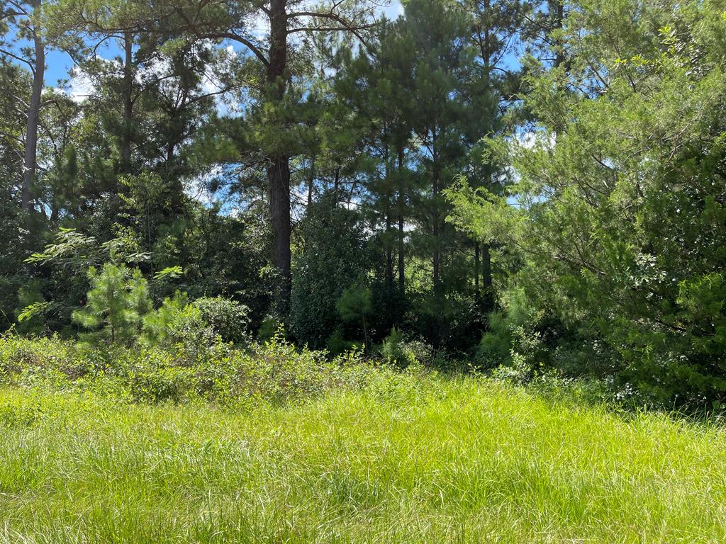 5703 Dixie-Barwick Road Boston, GA 31626 - Photo 1 of 1 Main View