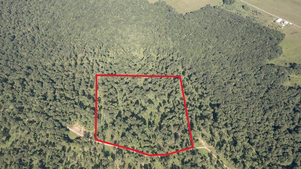 Lot - Gobbler Ridge Road Sigel, PA 15860 - Photo 1 of 14