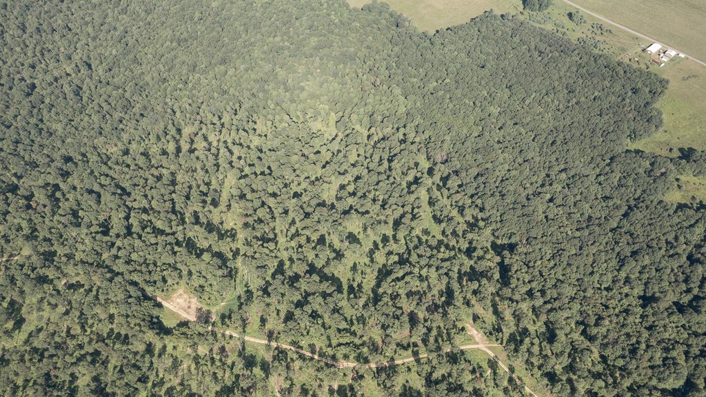 Lot - Gobbler Ridge Road Sigel, PA 15860 - Photo 3 of 14