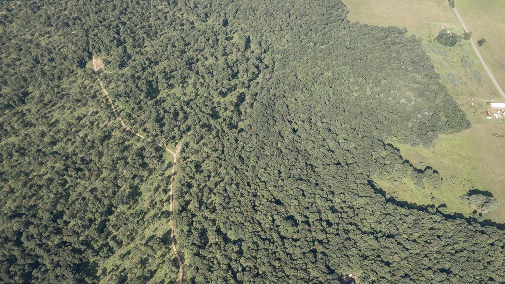 Lot - Gobbler Ridge Road Sigel, PA 15860 - Photo 4 of 14