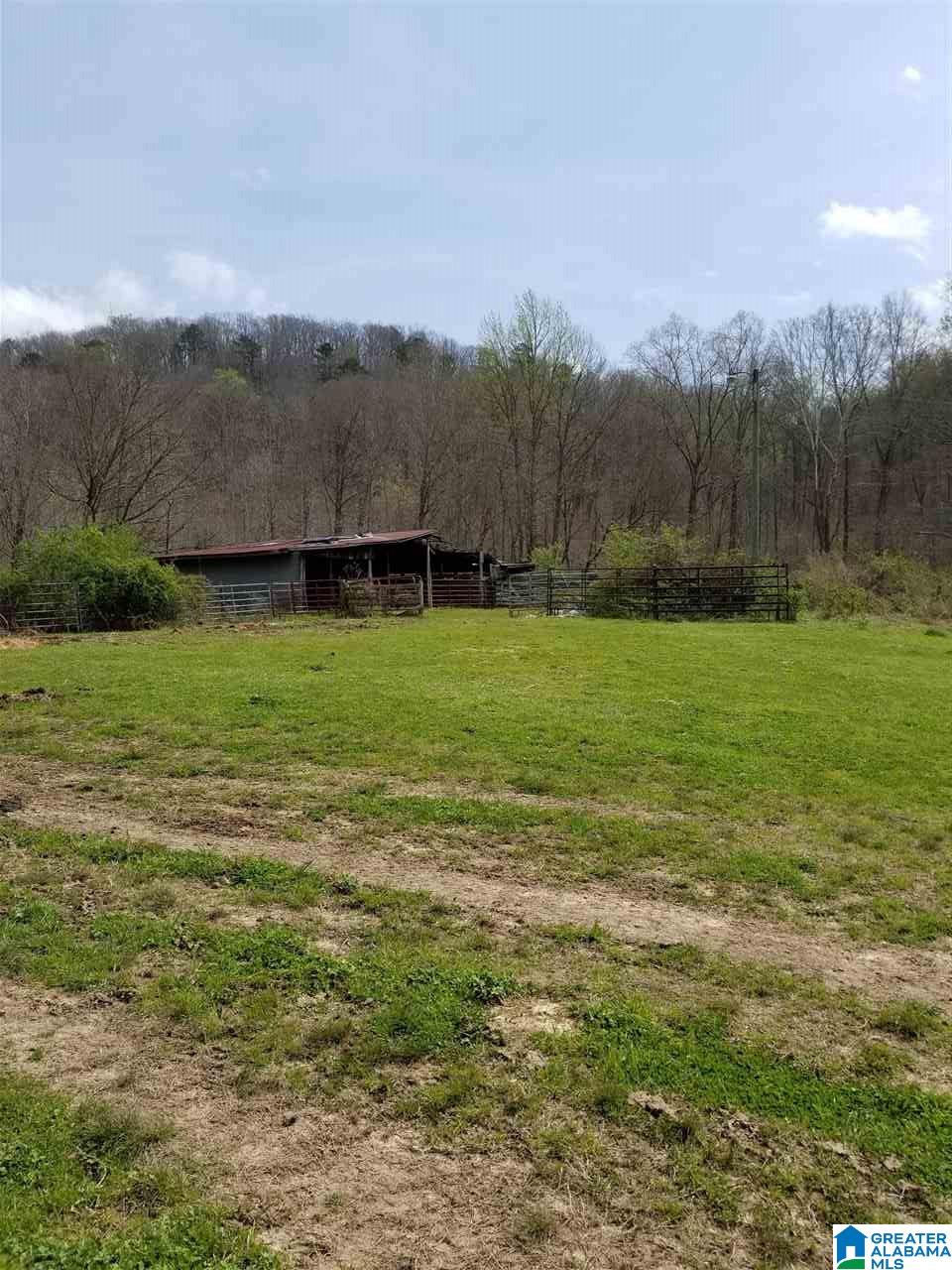 26 County Road Ashville, AL 35953 - Photo 6 of 6