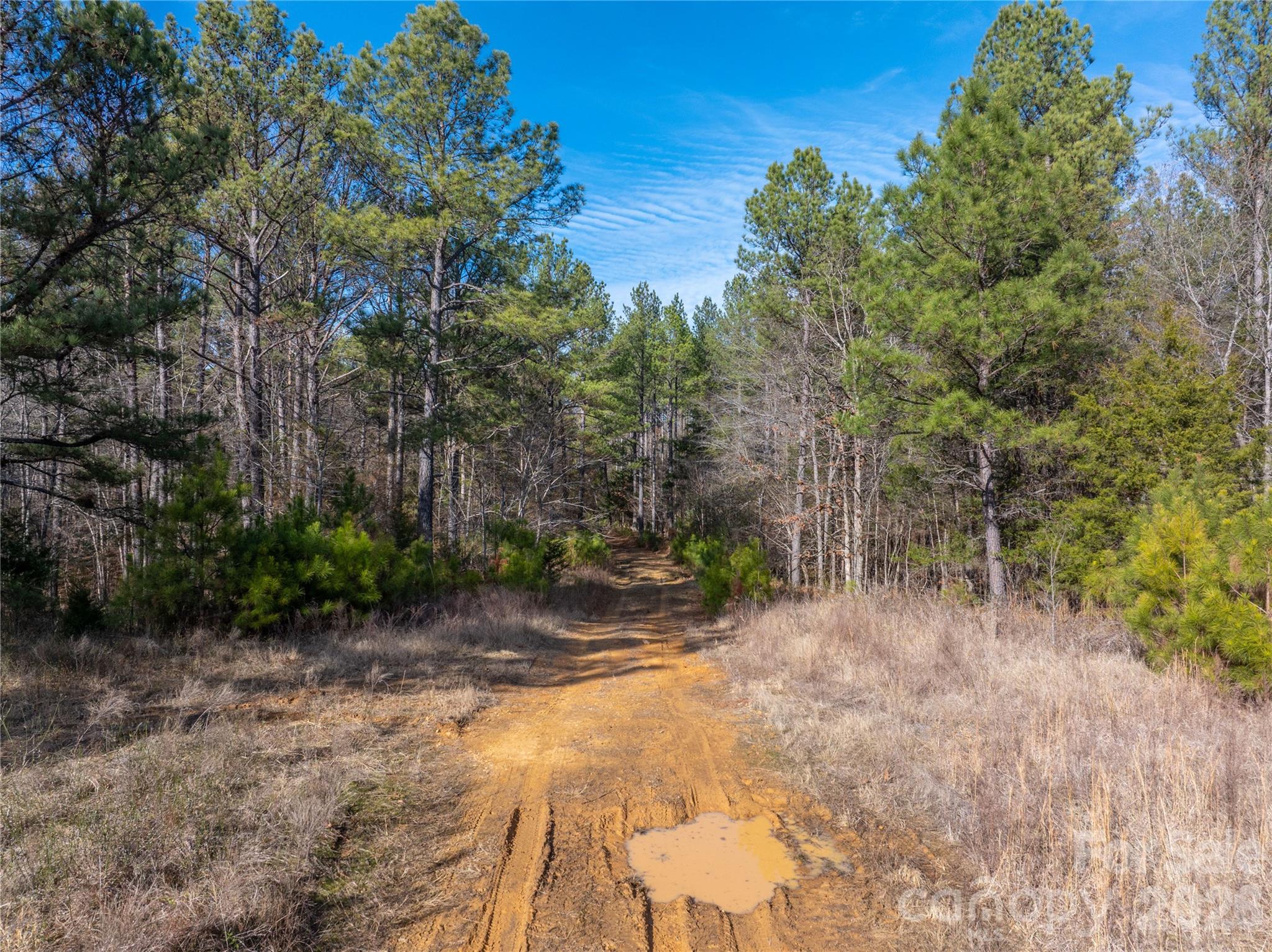 0 Quarter Round Road, Unit 8 Pacolet, SC 29372 - Photo 11 of 37