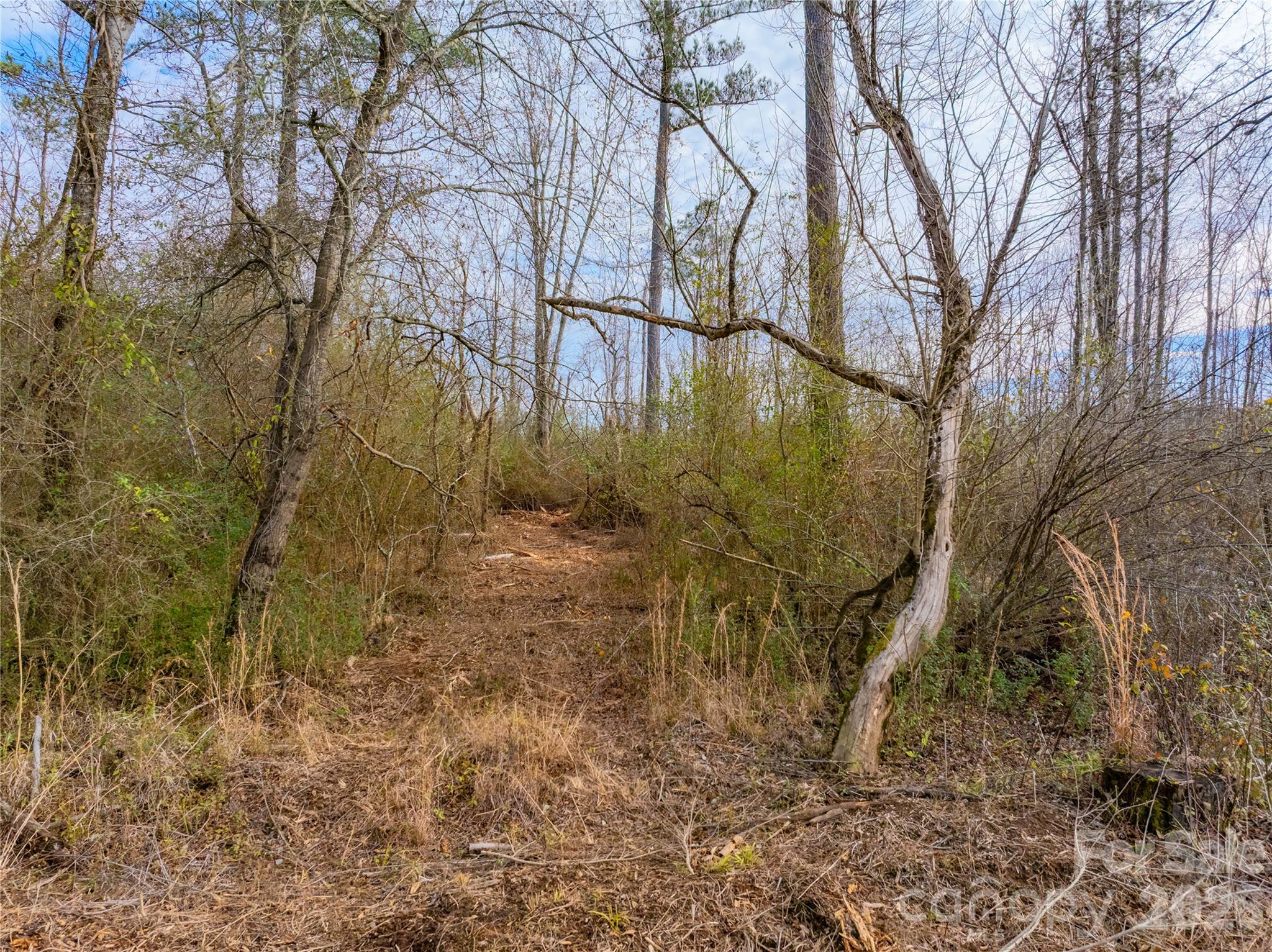 0 Quarter Round Road, Unit 8 Pacolet, SC 29372 - Photo 14 of 37