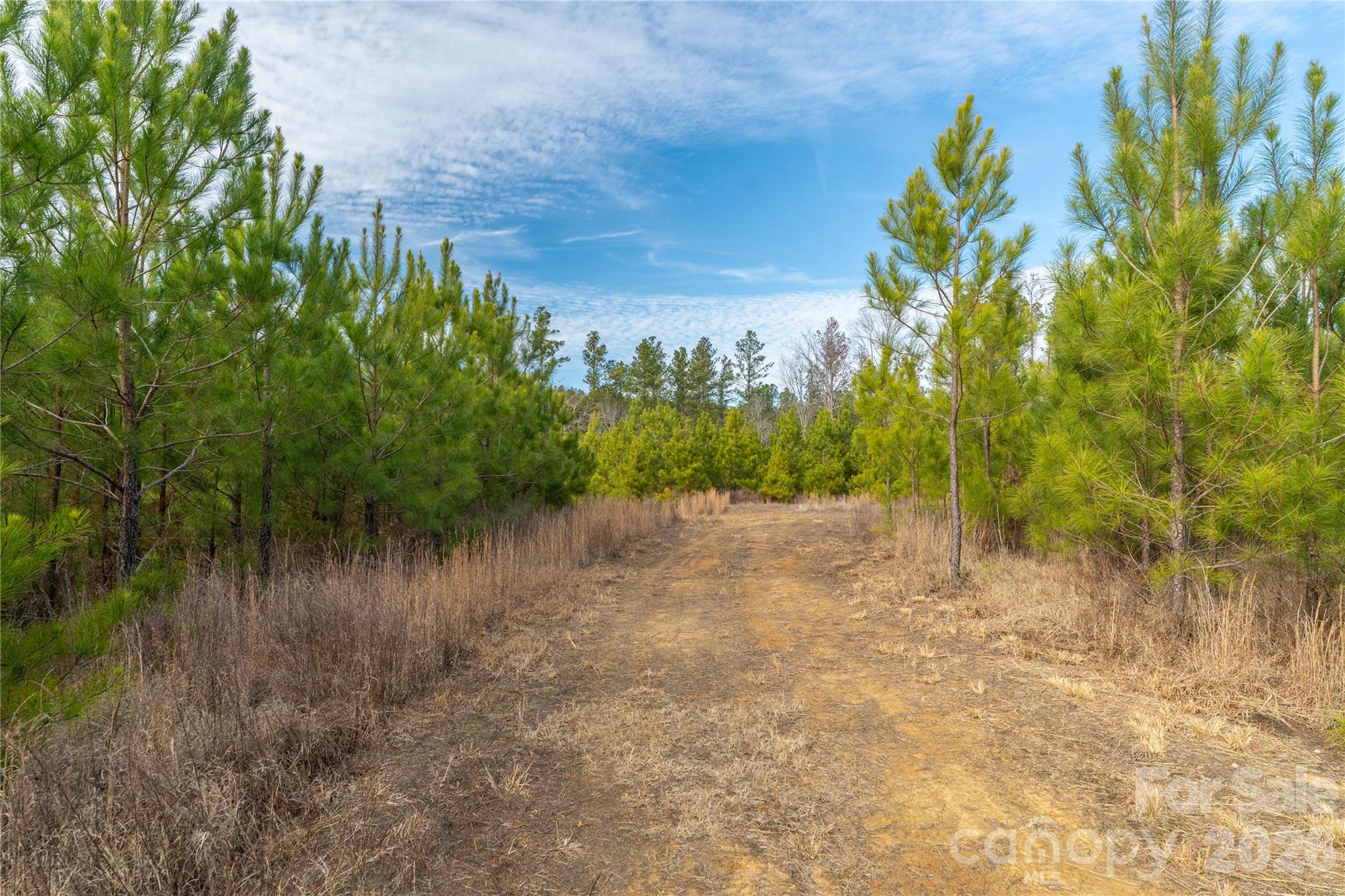 0 Quarter Round Road, Unit 8 Pacolet, SC 29372 - Photo 24 of 37