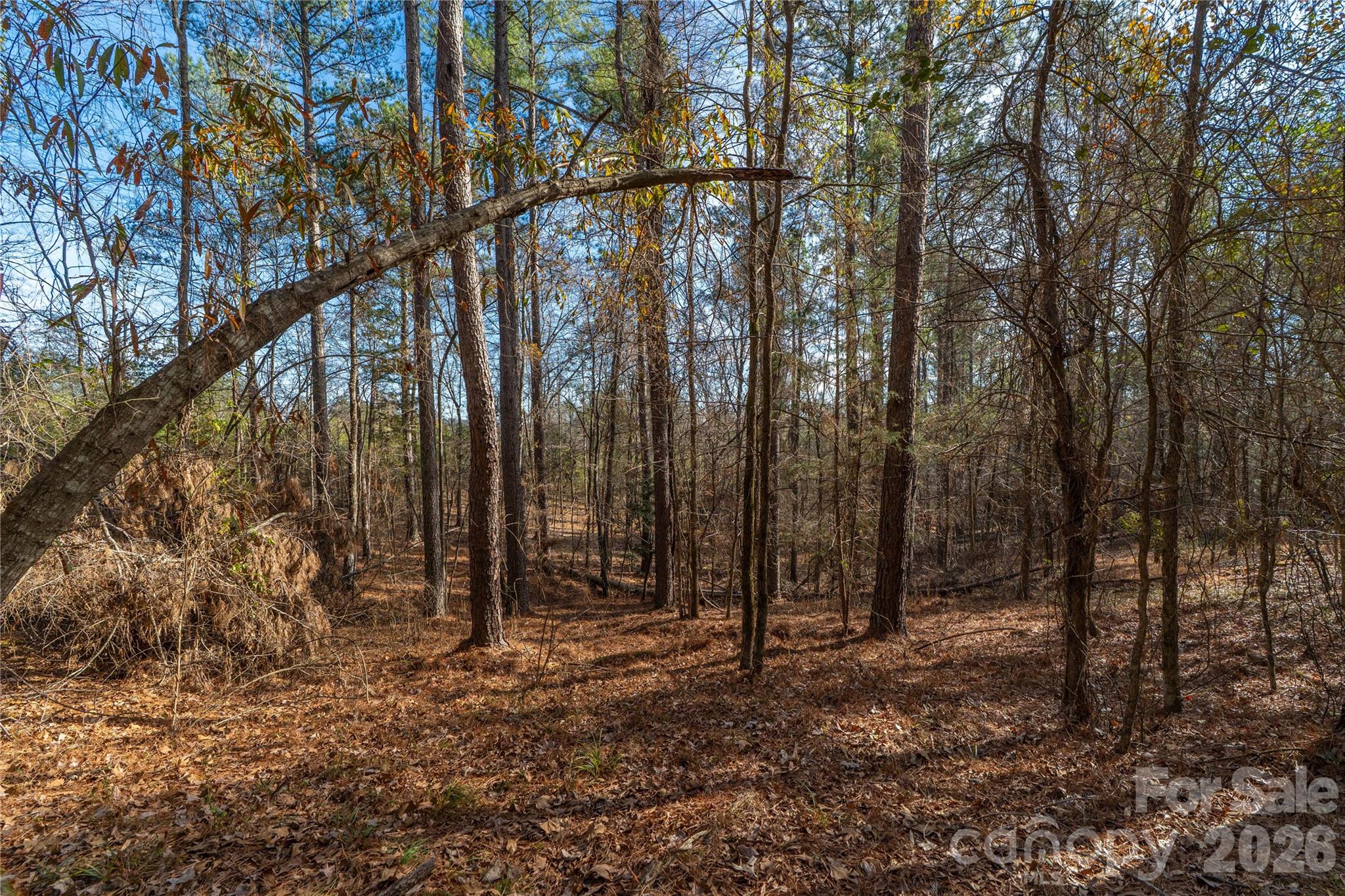 0 Quarter Round Road, Unit 8 Pacolet, SC 29372 - Photo 28 of 37