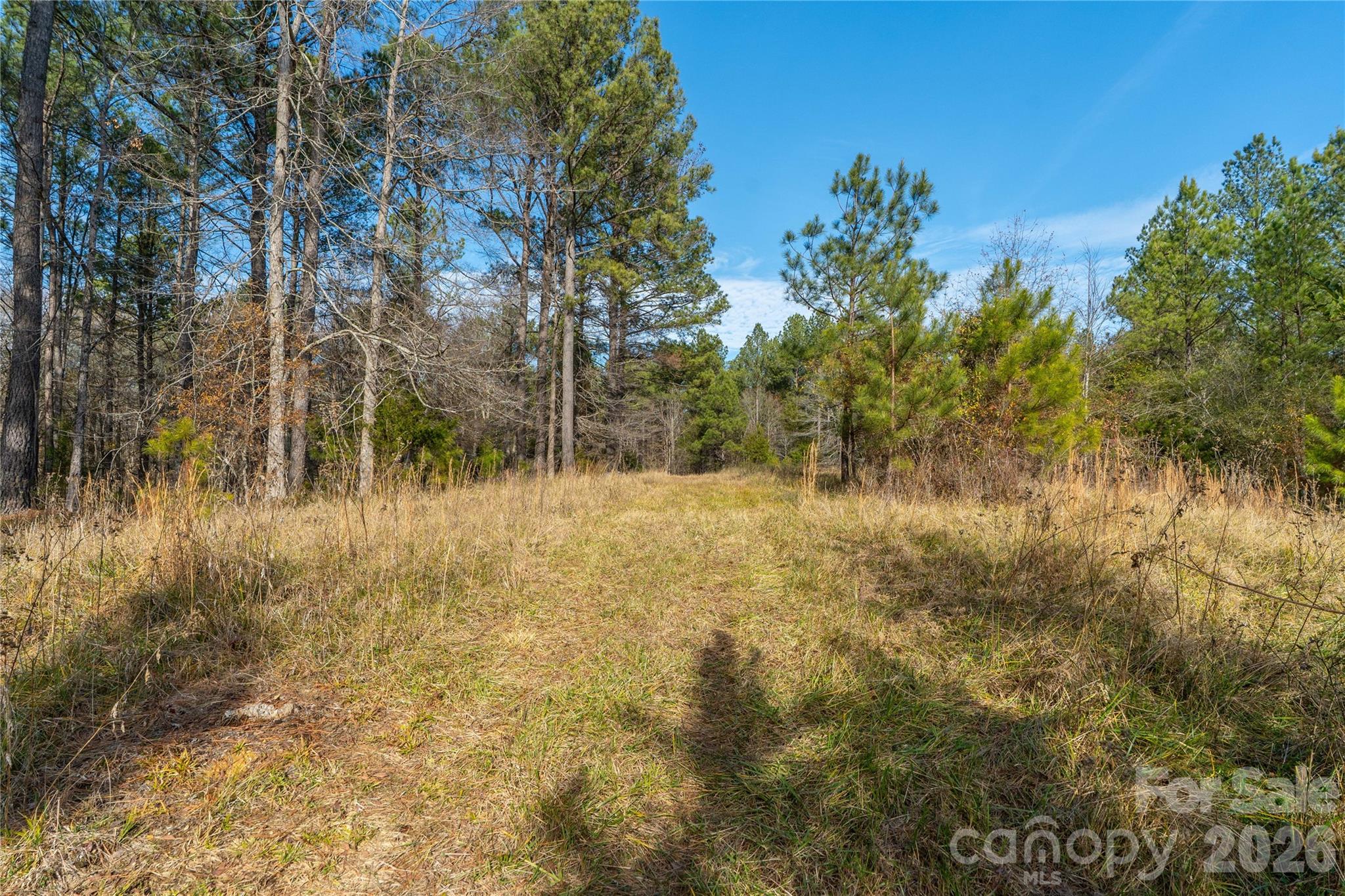 0 Quarter Round Road, Unit 8 Pacolet, SC 29372 - Photo 29 of 37