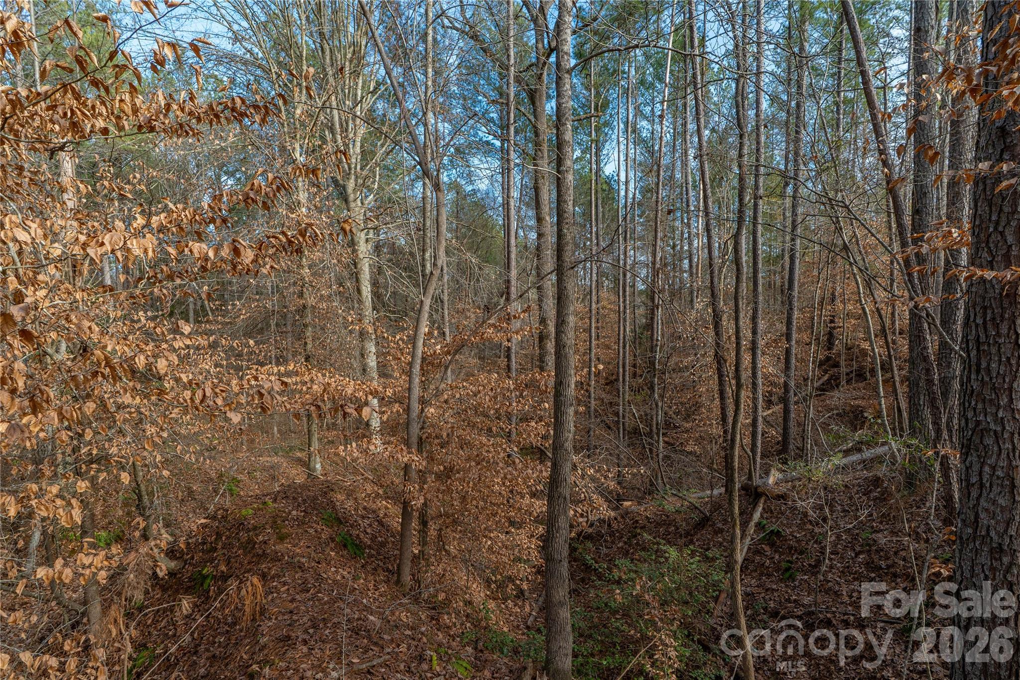 0 Quarter Round Road, Unit 8 Pacolet, SC 29372 - Photo 30 of 37