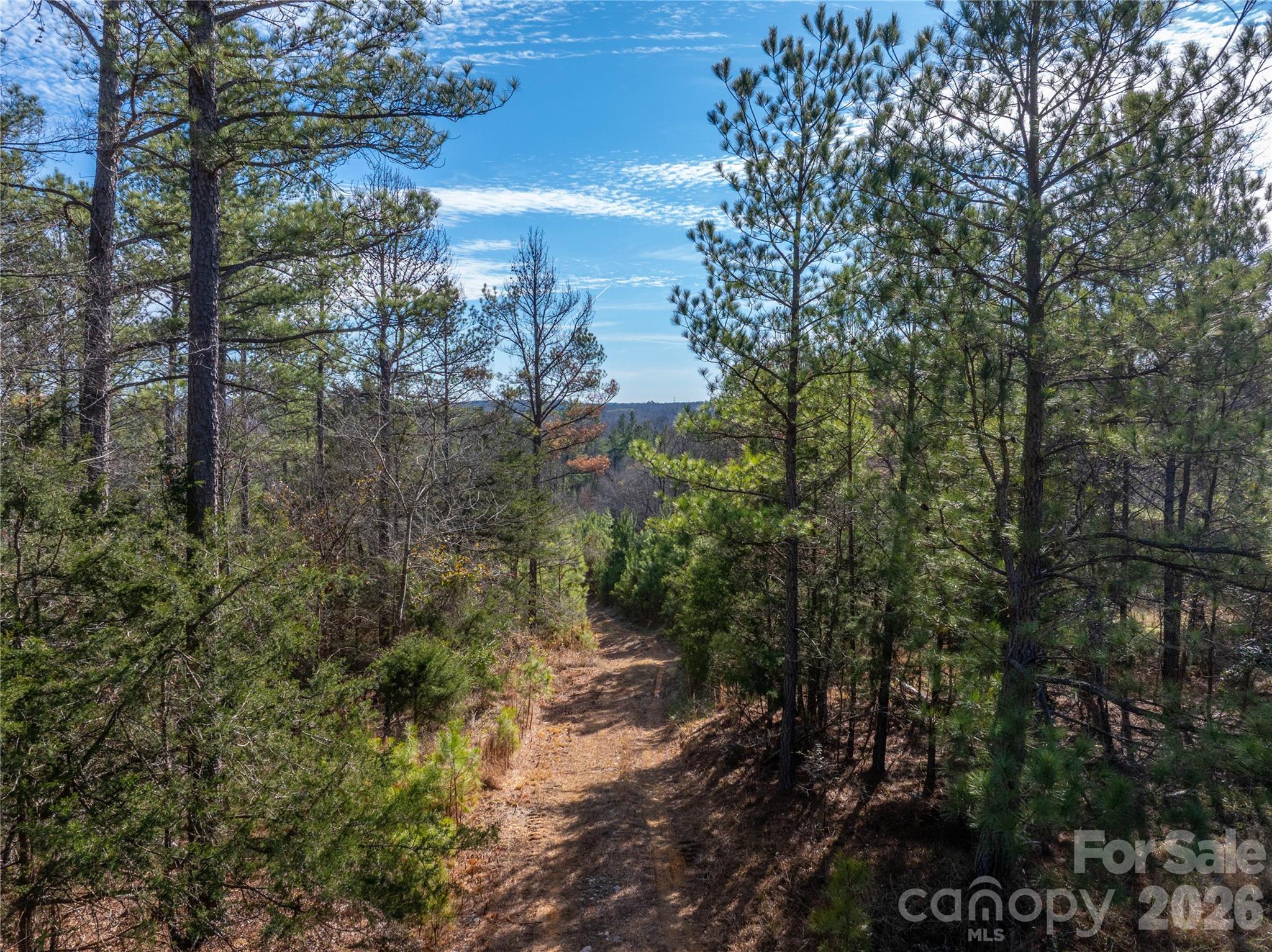 0 Quarter Round Road, Unit 8 Pacolet, SC 29372 - Photo 3 of 37