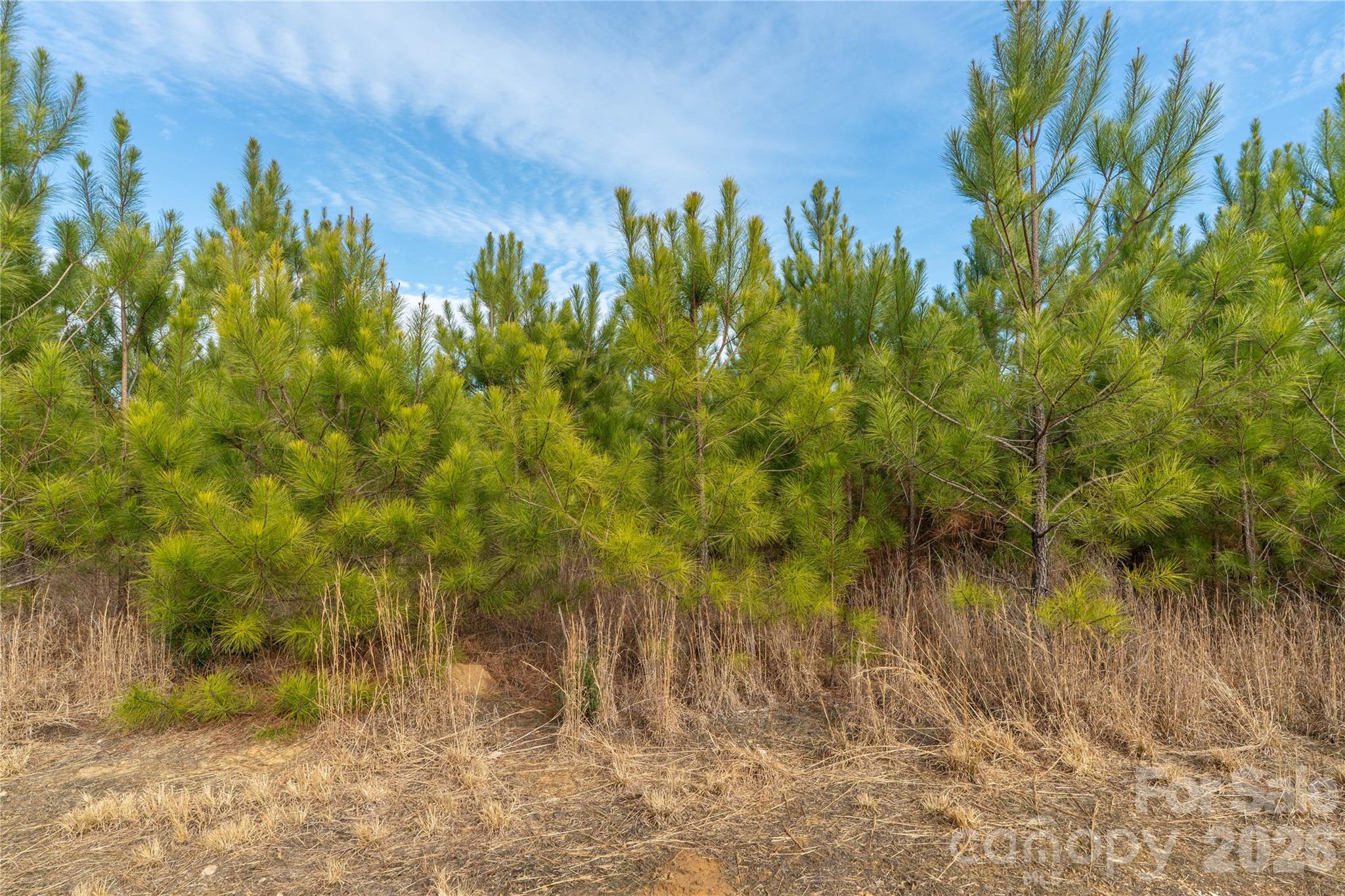 0 Quarter Round Road, Unit 8 Pacolet, SC 29372 - Photo 31 of 37