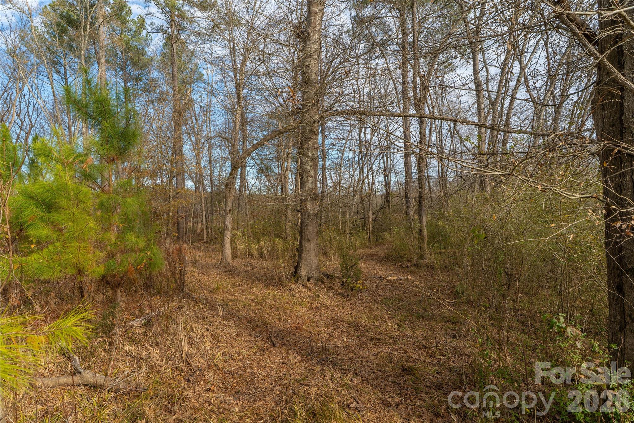 0 Quarter Round Road, Unit 8 Pacolet, SC 29372 - Photo 33 of 37
