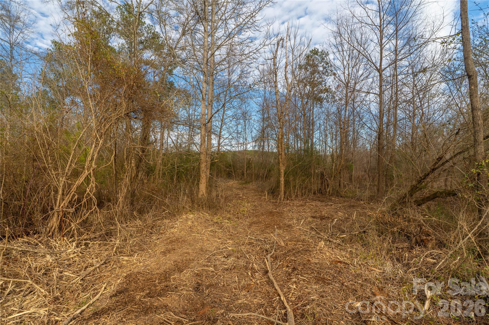 0 Quarter Round Road, Unit 8 Pacolet, SC 29372 - Photo 34 of 37