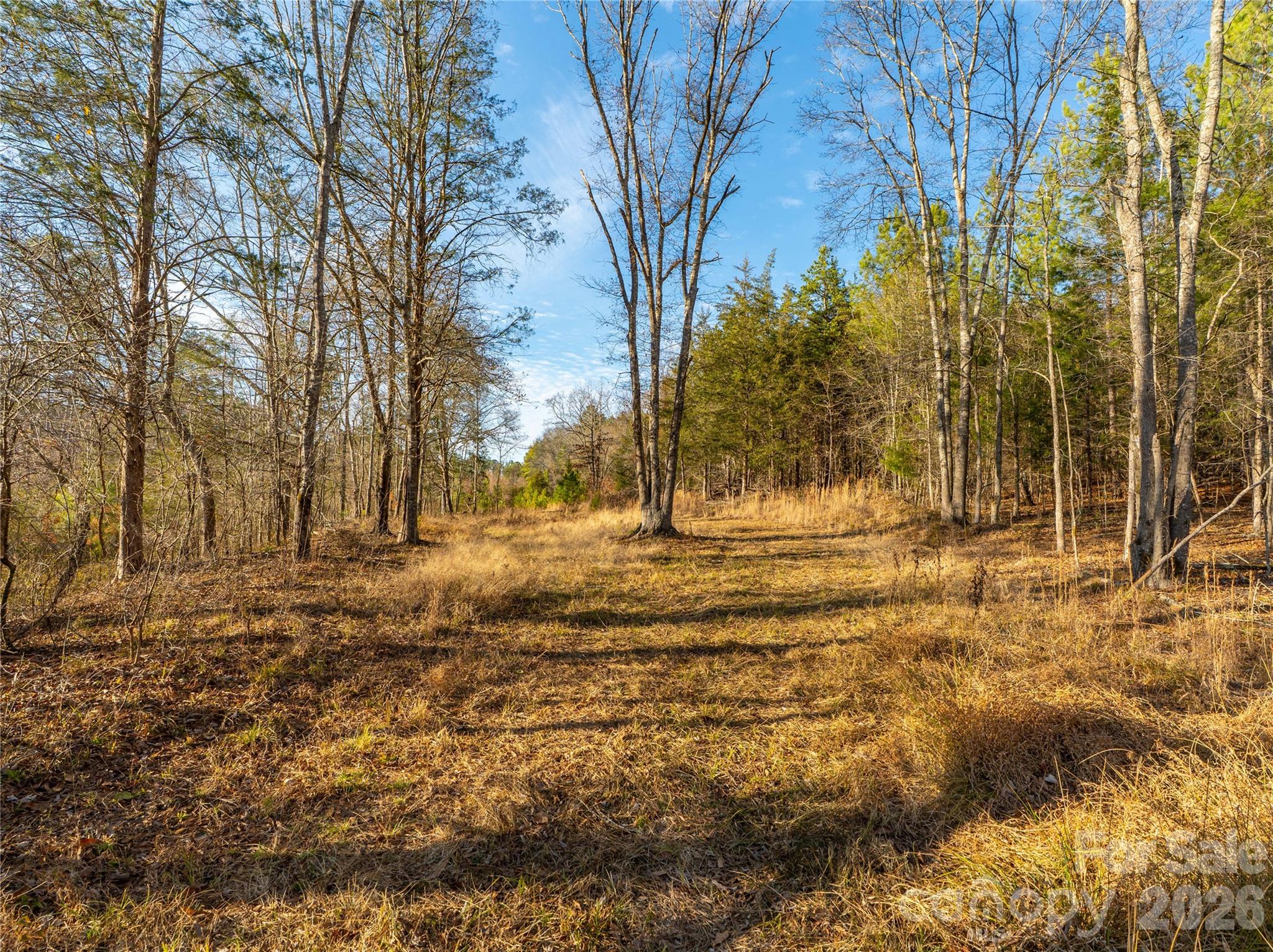 0 Quarter Round Road, Unit 8 Pacolet, SC 29372 - Photo 35 of 37