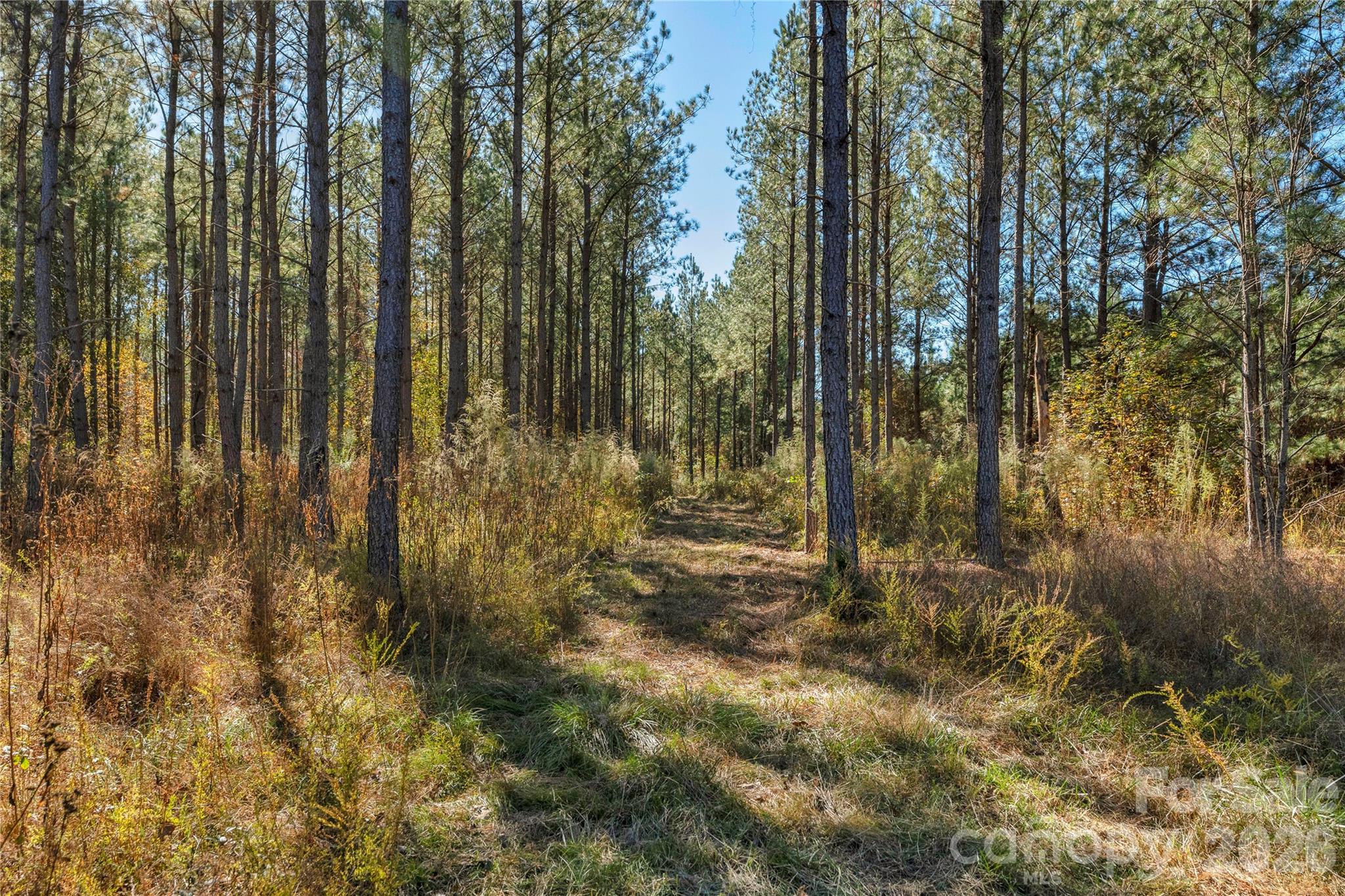 0 Quarter Round Road, Unit 8 Pacolet, SC 29372 - Photo 5 of 37