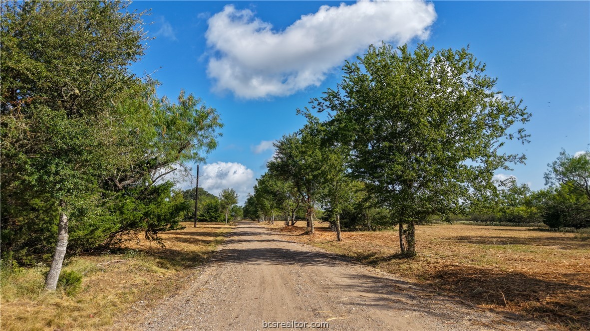 2 Mensik Road Bryan, TX 77808 - Photo 5 of 19 Gallery Image 5