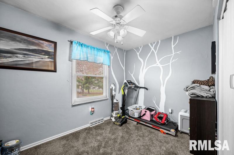 226 3rd Street Colona, IL 61241 - Photo 15 of 29 Gallery Image 15