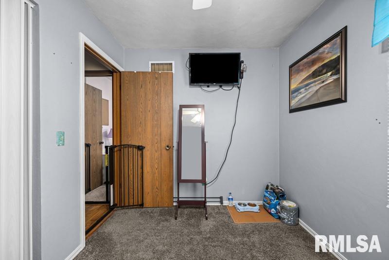 226 3rd Street Colona, IL 61241 - Photo 16 of 29 Gallery Image 16