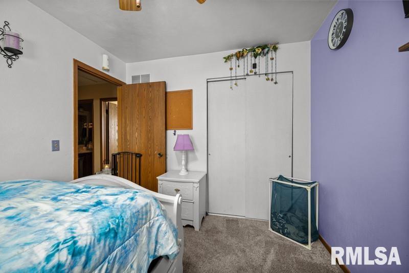 226 3rd Street Colona, IL 61241 - Photo 17 of 29 Gallery Image 17
