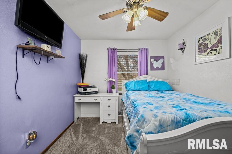 226 3rd Street Colona, IL 61241 - Photo 18 of 29 Gallery Image 18