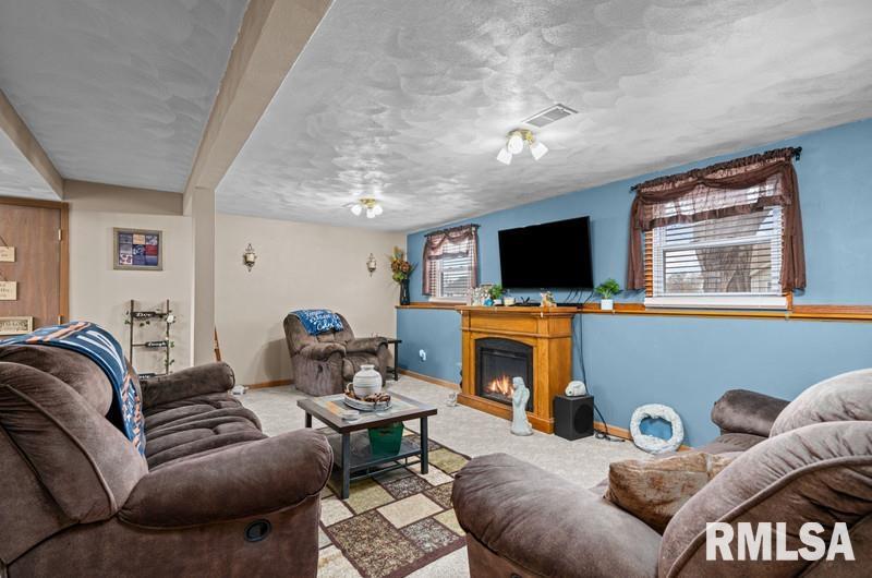 226 3rd Street Colona, IL 61241 - Photo 22 of 29 Gallery Image 22