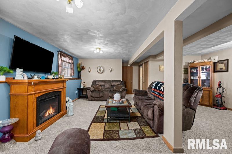 226 3rd Street Colona, IL 61241 - Photo 23 of 29 Gallery Image 23