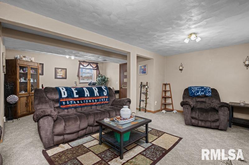 226 3rd Street Colona, IL 61241 - Photo 24 of 29 Gallery Image 24