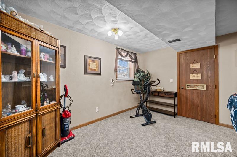 226 3rd Street Colona, IL 61241 - Photo 25 of 29 Gallery Image 25