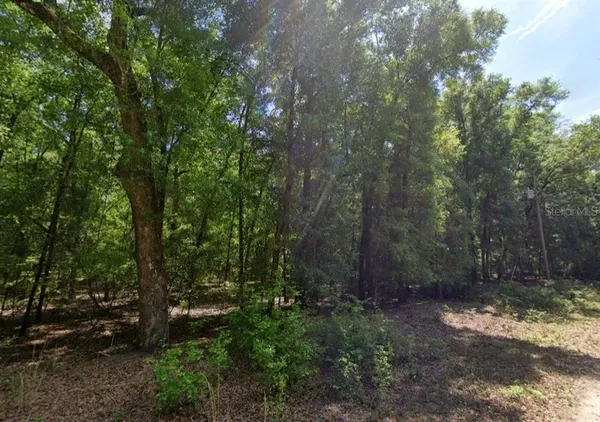 $32,500 | Northeast Willow Bend Terrace, Lee, FL 32059