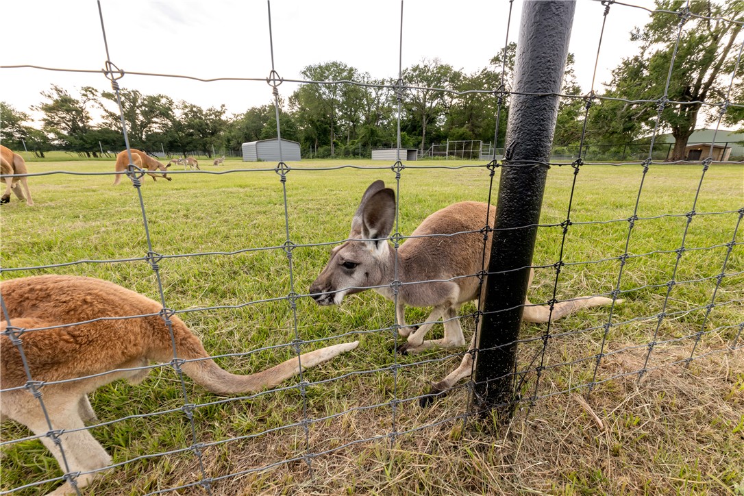 10285 Ferrill Creek Road Bryan, TX 77808 - Photo 35 of 49 a view of a garden
