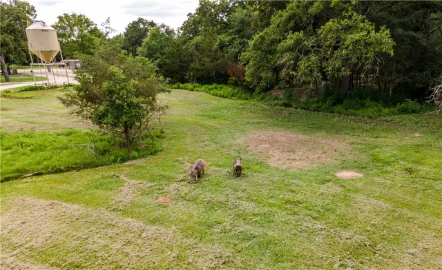 an aerial view of residential houses with outdoor space and trees
