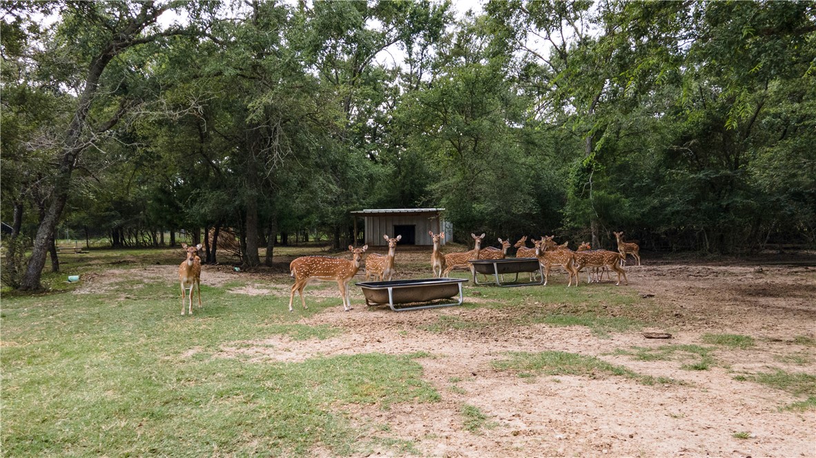 10285 Ferrill Creek Road Bryan, TX 77808 - Photo 39 of 49 a view of a park with slide