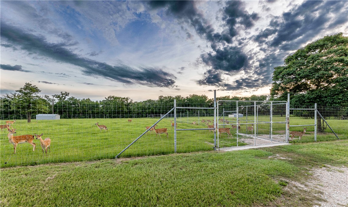 10285 Ferrill Creek Road Bryan, TX 77808 - Photo 49 of 49 a view of a park with a big yard