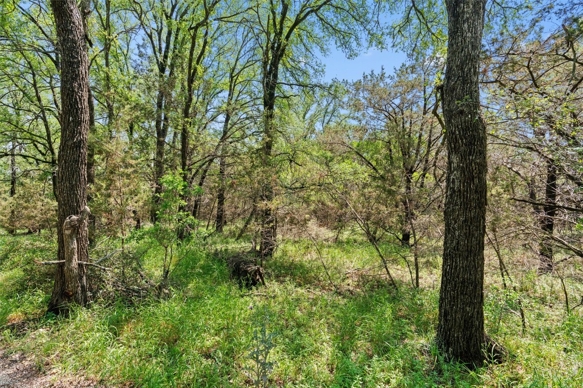419 Valley View West Road San Marcos, TX 78666 - Photo 11 of 20 a view of a yard with plants and trees