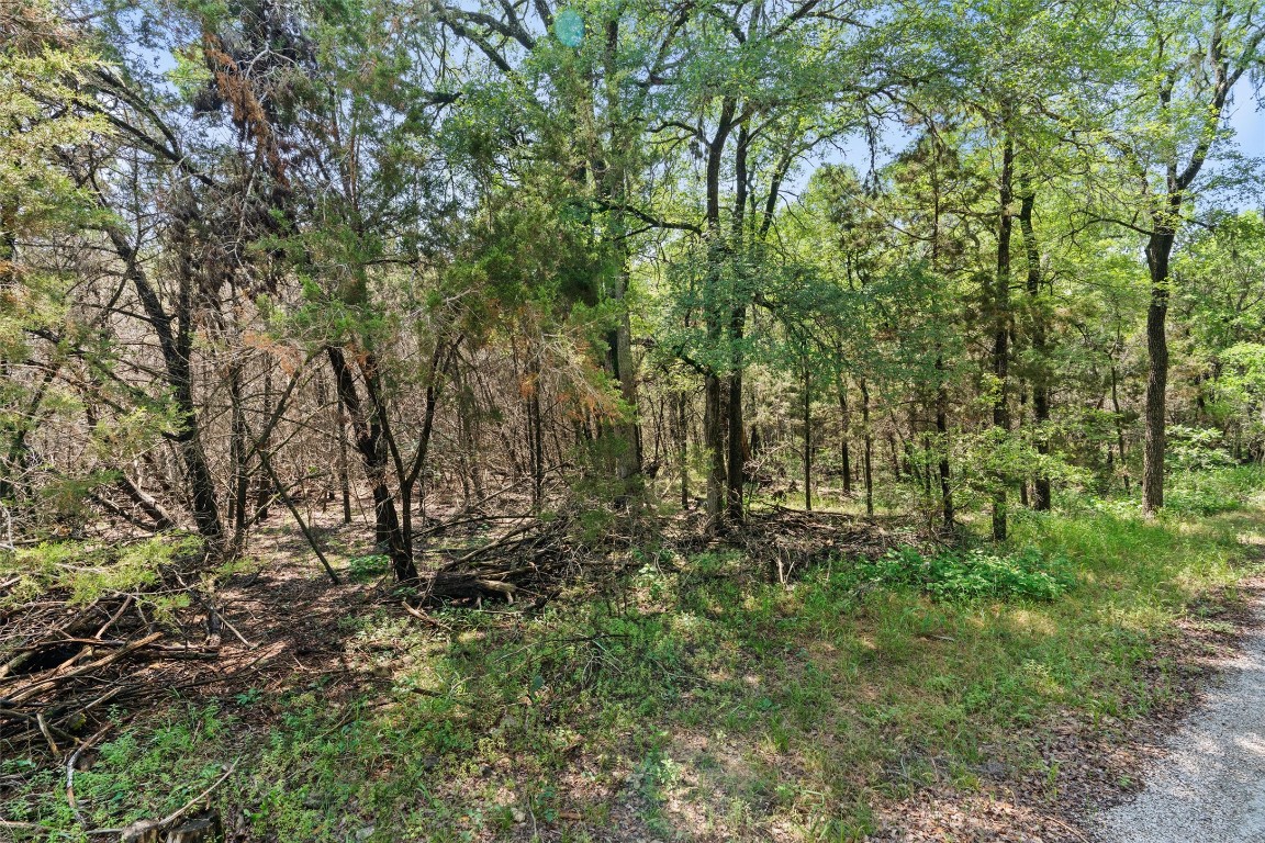 419 Valley View West Road San Marcos, TX 78666 - Photo 14 of 20 a view of a yard with a tree